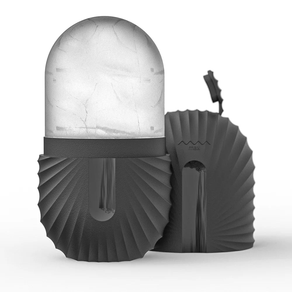 Face Roller Skincare Kit